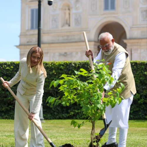 Prime Minister Narendra Modi and Prime Minister Giorgia Meloni planted a Black Mulberry plant in Rome
